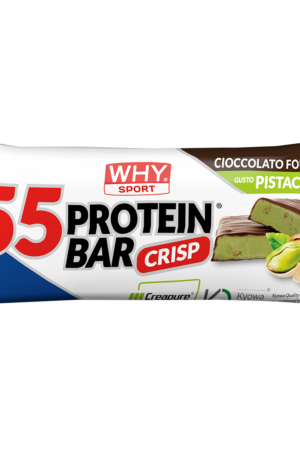 WHY SPORT 55 PROTEIN BAR 55 g