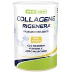 Why Nature- Collagene Rigenera Gusto Vaniglia - 336 gr