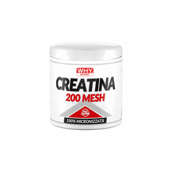 CREATINA MESH 200G WHY SPORT