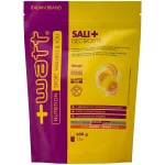 SALI+ PERFORMANCE ELECTROLYTE POYPACK 600 g - WATT